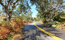 Hurricane Irma Debris lines roadway