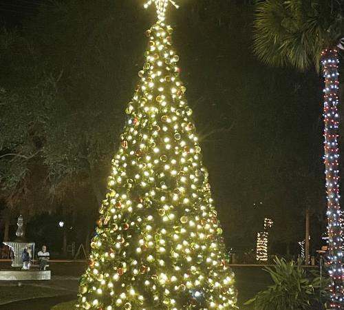 The Town tree light and decorated at night. 