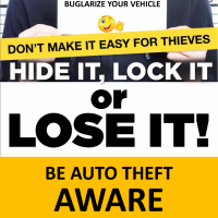 burglaries poster