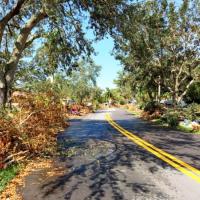 Hurricane Irma Debris lines roadway