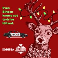Image of reindeer saying "even Blitzen knows not to drive blitzed."