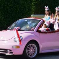 2013 pink car