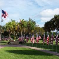 Photo - Memorial Park on Veterans Day with Flags