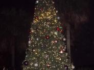 2015 Jim & Judy Tackett Memorial Christmas Tree Decorating and Lighting