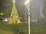 The Town tree lit up and decorated and the menorah with 7 candles lit at night.