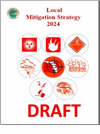 Local Mitigation Strategy 2024 Logos