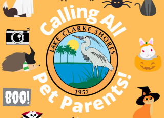 Animals dressed in Halloween costumes with the Town logo in the center. Text reads “calling all pet parents” 
