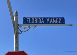 An Image of the Road sign for Florida Mango Road. Florida Mango Road can be seen in the background. 