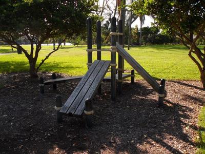 photo-pine-tree-park-06.jpg