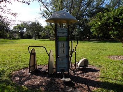 photo-pine-tree-park-07.jpg