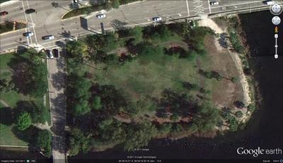 photo-pine-tree-park-01.jpg